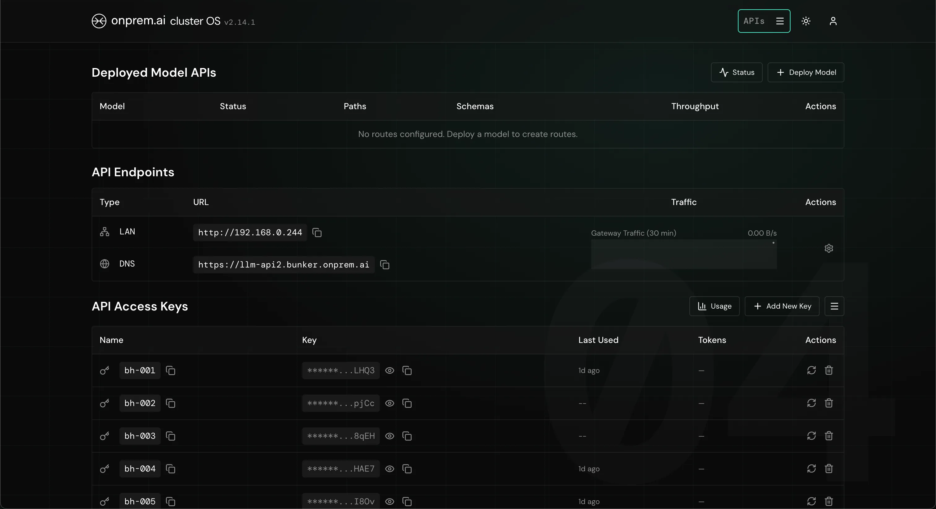 API-Seite der onprem.ai Software mit Endpunkten, Live-Traffic und API-Keys